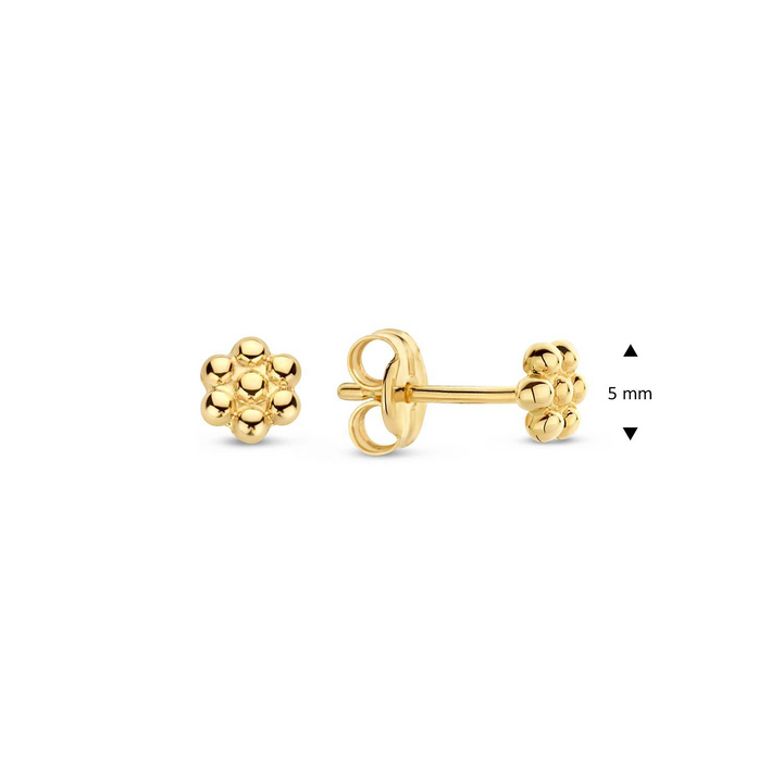 14K Yellow Gold Stud Gold Earrings